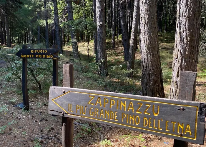 度假居 Etna Charming *