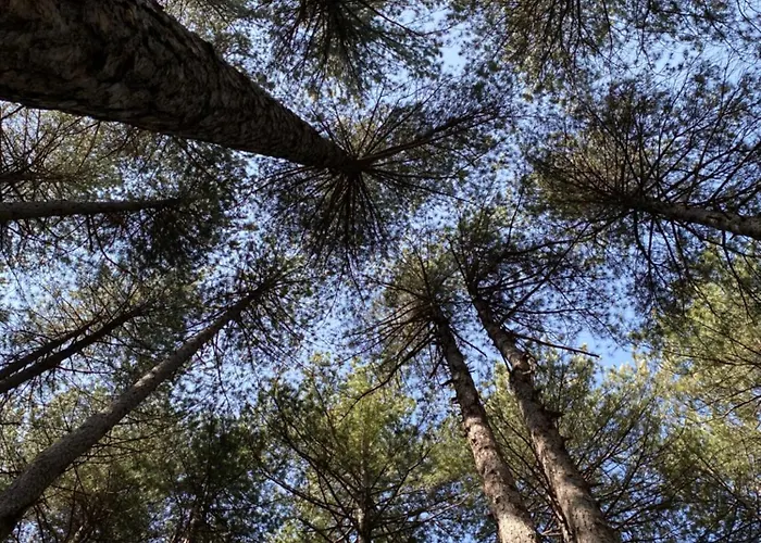 度假居 Etna Charming *