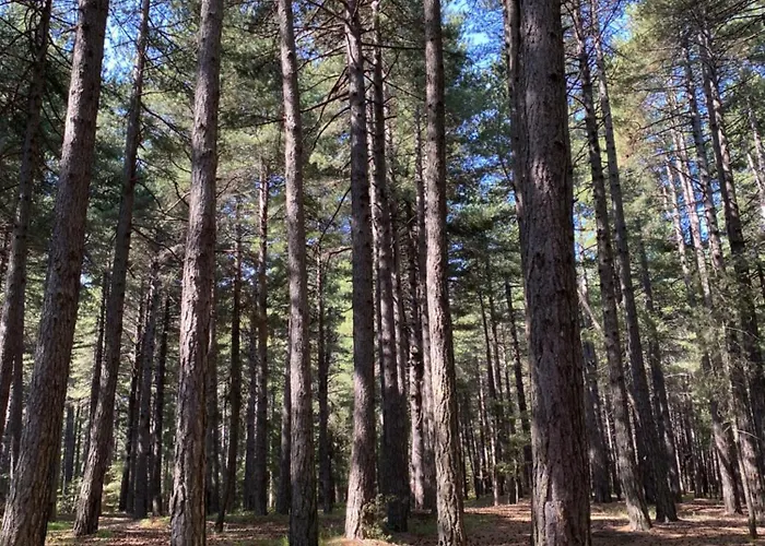 Etna Charming 度假居