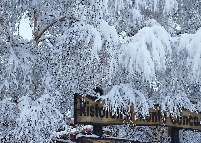 Etna Charming * 林瓜格洛萨